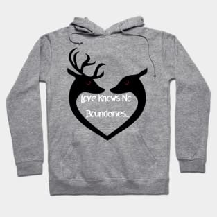 Love Knows No Boundaries Hoodie